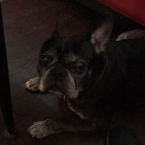 Meet your Posher, Ian